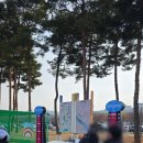 히트앤런