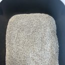 화이트카사 | 🐱 버디부 화이트 카사나이트 고양이 모래 사용후기 내돈내산_먼지·냄새 없는 블렌딩 모래 추천