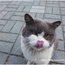 사하구근로자종합복지관 이미지