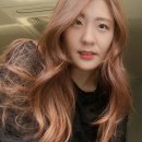 한올아이래쉬 본점 | [반포속눈썹] 파워직모 쫄보의 속눈썹 펌 후기, 한올아이래쉬본점 스킬 최고!