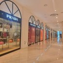 [서울/강남] 캉카스백화점, 위탁판매, 3점 중 1점 성공