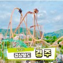 비룡 키즈 태권도 | 경주월드 경주 아이랑 가볼만한곳 놀이공원 이용후기