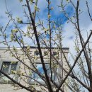 마당민박 이미지