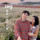 동락공원 축구장(=7번광장) 화장실 | 국내 가을 여행지 철원 고석정 꽃밭