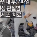 애니컴 메디컬센터 이미지