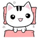 문구방구춘천장학점