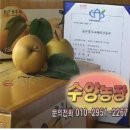 장미자농장 이미지