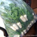 마도농산물재래시장 이미지