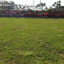 제부도 늘단비 펜션 이미지