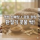 쾌차약국 | 항히스타민제 부작용 없이 콧물 꽉 잡은 꿀조합! (경방 소폐탕 + 광동 원탕 내돈내산 후기)