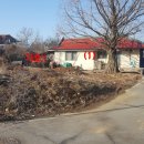 파평면행정복지센터(버스 정류장) 이미지