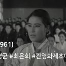 상록수(1961) / Evergreen Tree 이미지