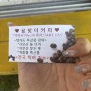 연대도달맞이 이미지