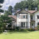 꽃무리 뜸 이미지