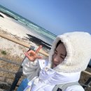 [제주 올레길 코스 추천] 제주도 올레길 여자 혼자 20코스 완주하기 / 눈물의 올레길 찐후기 엉엉