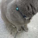 GS25 송파 센타점