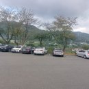 동읍1177 이미지