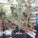 근화농장 이미지