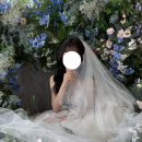 행복헤어 | [결혼준비] 아벨르 헤어변형 찐 행복했던 후기 (6가지 헤어변형)