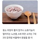 황금잡곡 이미지