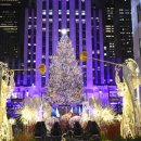 성은프라자2 이미지