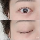 대구과학고등학교 | 대구 수성구 속눈썹 전문 브로우무드 방문 찐후기