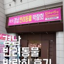 제2회 경남 반려동물 박람회 관람후기