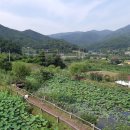 황토흙펜션 꿈의대화 이미지