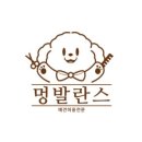 뽀짝뽀짝 애견 미용실 이미지