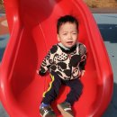 고래들공원 이미지