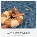 도안풀빌라앤키즈호텔 네이버블로그