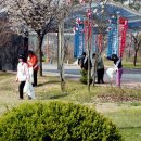 대순환경 Daum카페
