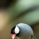 옥천헬스클럽 이미지