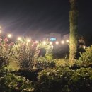 펜션 153 이미지