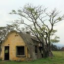 기원목장 이미지