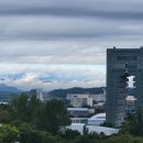 보불로(서) 이미지