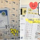 이루핏