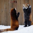 크와아앙