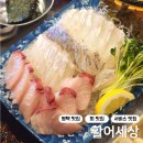 활어세상 이미지