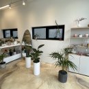 꼬모플레리 이미지