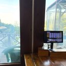[공지] [구미맛집] 구미 풍자 또간집, 한채쭈꾸미 내돈내산 재방문 후기