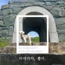 지리산하이웨이캠핑장 이미지