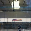 애플아일랜드 이미지