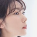 아누보스킨 이미지
