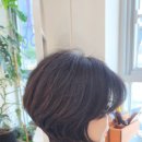 노벨리아 헤어 이미지