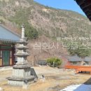 스테이 무코 이미지