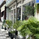 세강약국 이미지