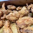 치꼬뱅속초점 티스토리