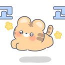 마라연구소 김포공항점