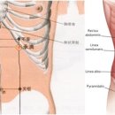 양문한의원 이미지